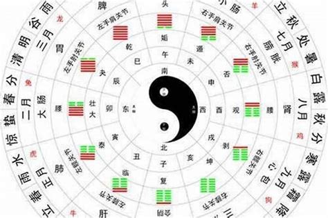 八卦 属性|八卦阴阳五行属性详解